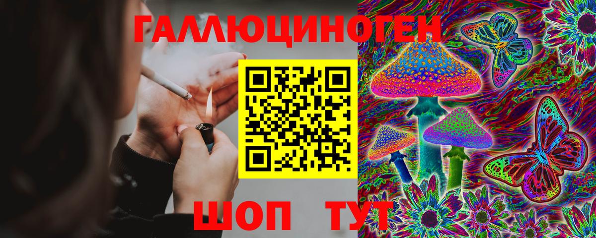 Псилоцибиновые грибы Psilocybine cubensis  Вход с VPN  Янаул 