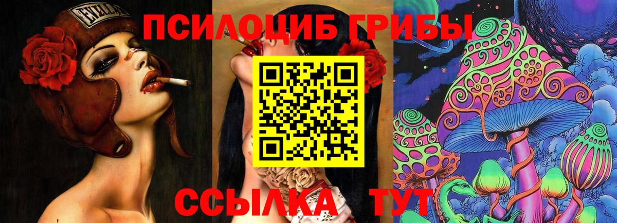 Галлюциногенные грибы Psilocybine cubensis Янаул